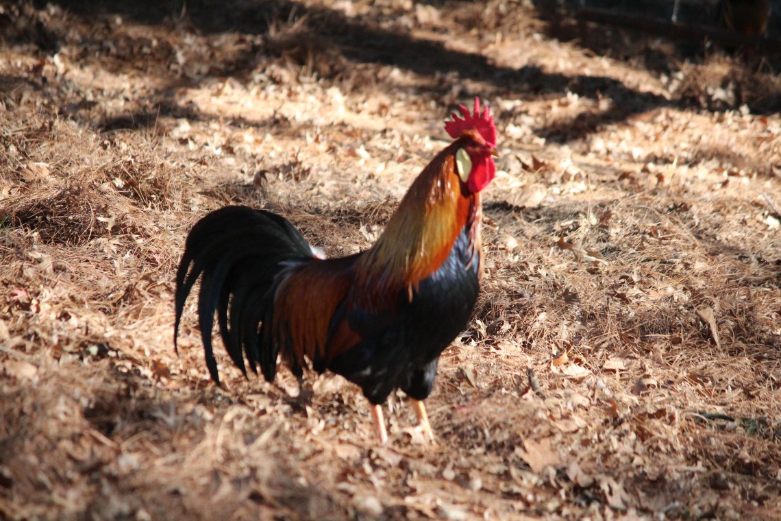 One of the handsome dudes ...