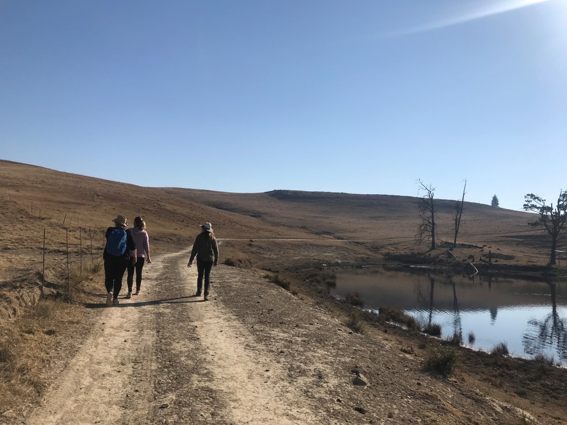 sunshine and friends ....